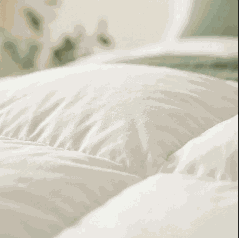 Duck Feather & Down Quilt – Lightweight Warmth Without the Heavy Feel